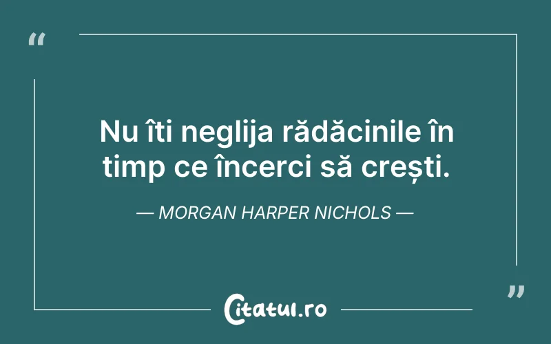 Nu îți neglija rădăcinile în timp ce încerci să crești. Morgan Harper Nichols