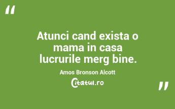 Atunci cand exista o mama in casa lucrurile merg bine. Amos Bronson Alcott...