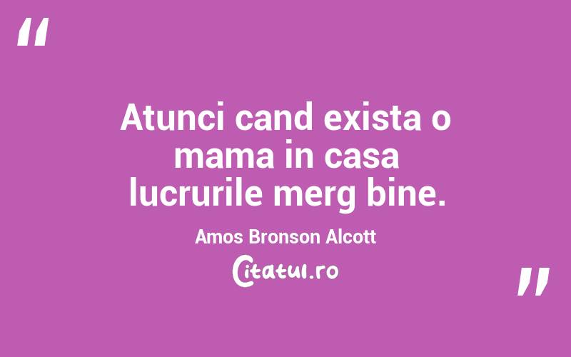 Atunci cand exista o mama in casa lucrurile merg bine. Amos Bronson Alcott