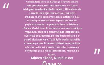 Camaraderia între un bărbat şi o femeie tânără este posibilă numai dacă amândoi sunt foarte inteligenţi sau dacă amândoi iubesc. Altminteri este o simplă tovărăşie mai mult sau mai puţin insipidă, foarte puţin interesantă sufleteşte, sau o etapă preliminarie unei legături tot atât de puţin interesante. Iar prietenia între un bărbat şi o femeie tânără este de asemenea un mare cuvânt, cu majusculă, dacă nu e alimentată de inteligenţă şi susţinută de dragostea pe care fiecare dintre ei o poartă altei persoane. Tovărăşiile acelea agreabile şi impure pe care le numim prietenii se rezumă de cele mai multe ori la vizite frecvente, la oarecare confidenţe şi la o caldă familiaritate. Mai sus nu răzbat. Mircea Eliade, Nuntă în cer...