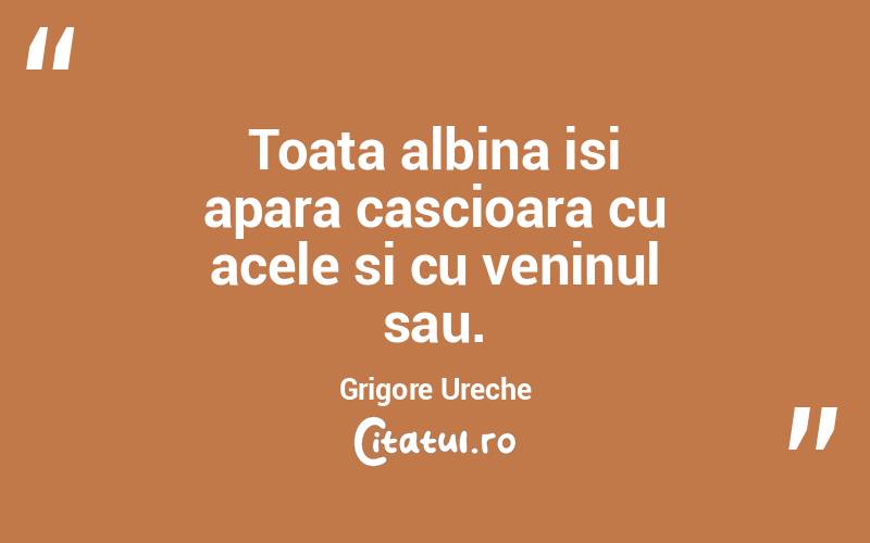 Toata albina isi apara cascioara cu acele si cu veninul sau. Grigore Ureche