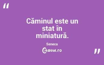 Căminul este un stat în miniatură. Seneca...