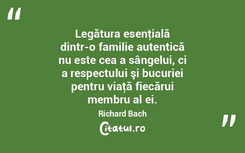 Legătura esenţială dintr-o familie autentică nu este cea a sângelui, ci a respectului şi bucuriei pentru viaţă fiecărui membru al ei. Richard Bach
