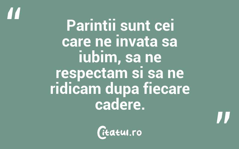 Parintii sunt cei care ne invata sa iubim, sa ne respectam si sa ne ridicam dupa fiecare cadere. 
