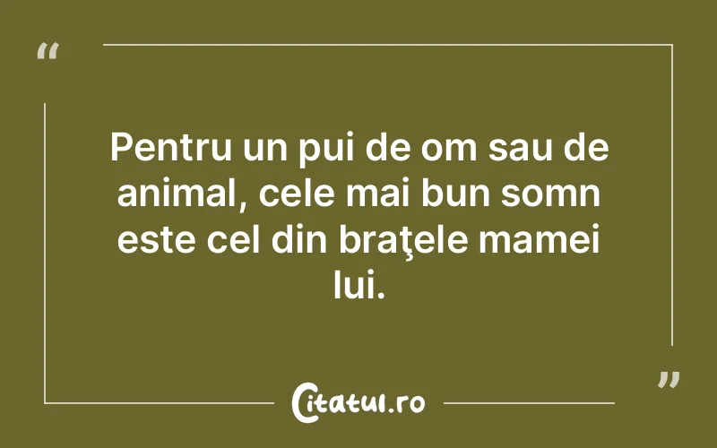 Pentru un pui de om sau de animal, cele mai bun somn este cel din braţele mamei lui.