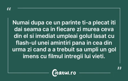Numai dupa ce un parinte ti-a plecat iti... Numai dupa ce un parinte ti-a plecat iti...