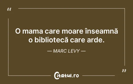 O mama care moare înseamnă o bibliotec...