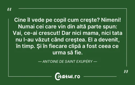 Cine îl vede pe copil cum creşte? Nime...
