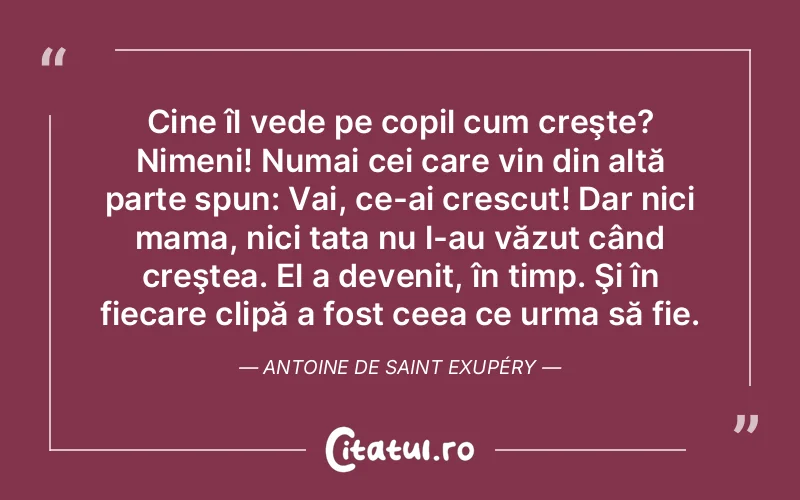 Citat Autor necunoscut - citate familie