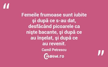 Femeile frumoase sunt iubite şi după ce s-au dat, desfăcând picoarele ca nişte bacante, şi după ce au înşelat, şi după ce au revenit. Camil Petrescu...