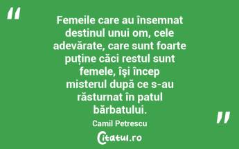 Femeile care au însemnat destinul unui om, cele adevărate, care sunt foarte puţine căci restul sunt femele, îşi încep misterul după ce s-au răsturnat în patul bărbatului. Camil Petrescu...