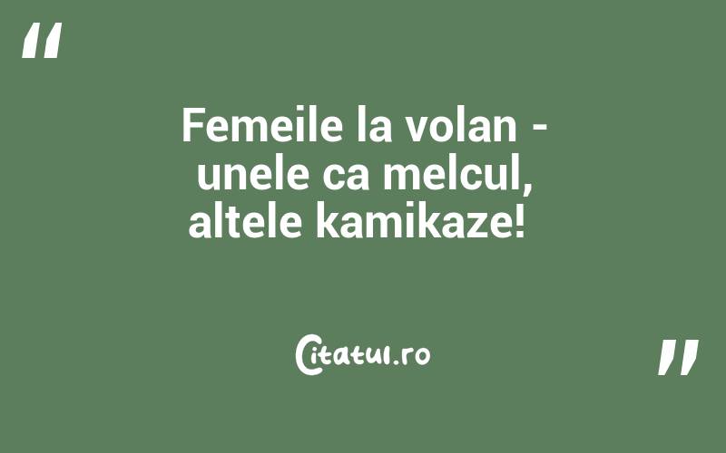 Femeile la volan - unele ca melcul, altele kamikaze! 