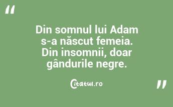 Din somnul lui Adam s-a născut femeia. Din insomnii, doar gândurile negre.  ...