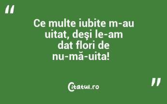 Ce multe iubite m-au uitat, deşi le-am dat flori de nu-mă-uita!  ...