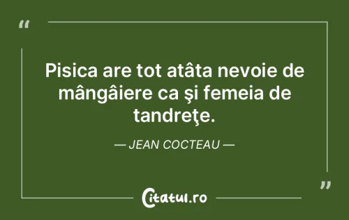 Citat Femei - Citatul.ro