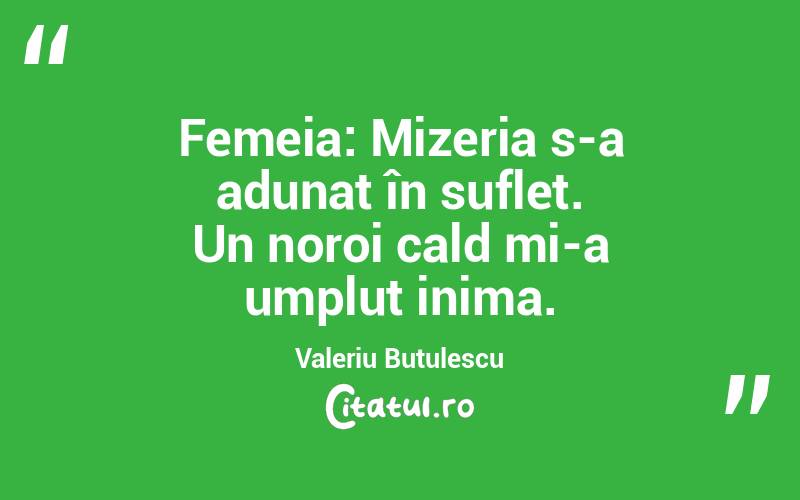  Femeia: Mizeria s-a adunat în suflet. Un noroi cald mi-a umplut inima. Valeriu Butulescu
