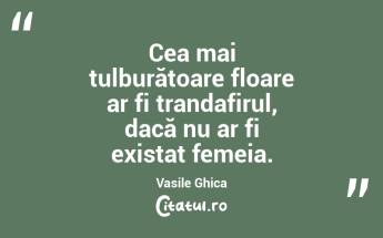 Cea mai tulburătoare floare ar fi trandafirul, dacă nu ar fi existat femeia. Vasile Ghica...