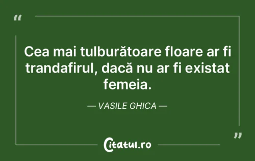 Citat Femei - Citatul.ro