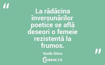 La rădăcina înverșunărilor poetice se află deseori o femeie rezistentă la frumos. Vasile Ghica...