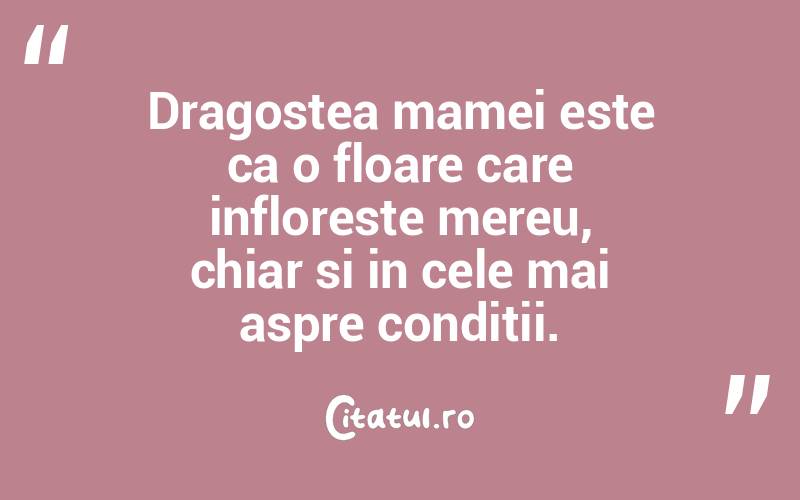 Dragostea mamei este ca o floare care infloreste mereu, chiar si in cele mai aspre conditii.