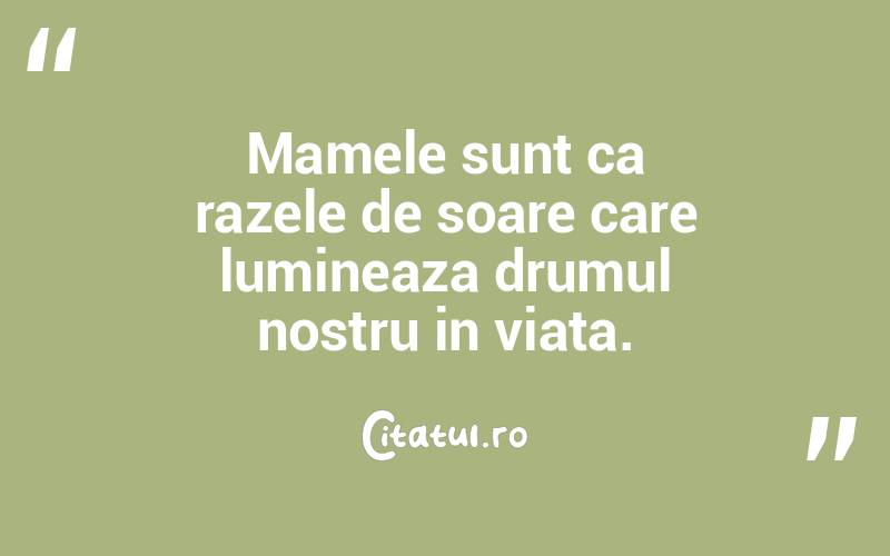 Mamele sunt ca razele de soare care lumineaza drumul nostru in viata.