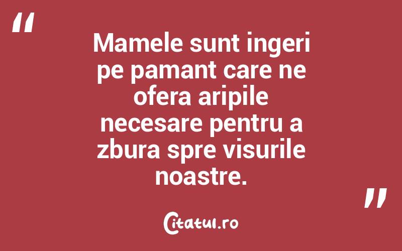 Mamele sunt ingeri pe pamant care ne ofera aripile necesare pentru a zbura spre visurile noastre.