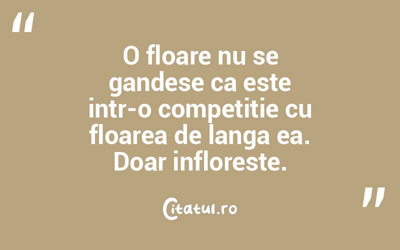 O floare nu se gandese ca este intr-o competitie cu floarea de langa ea. Doar infloreste.  