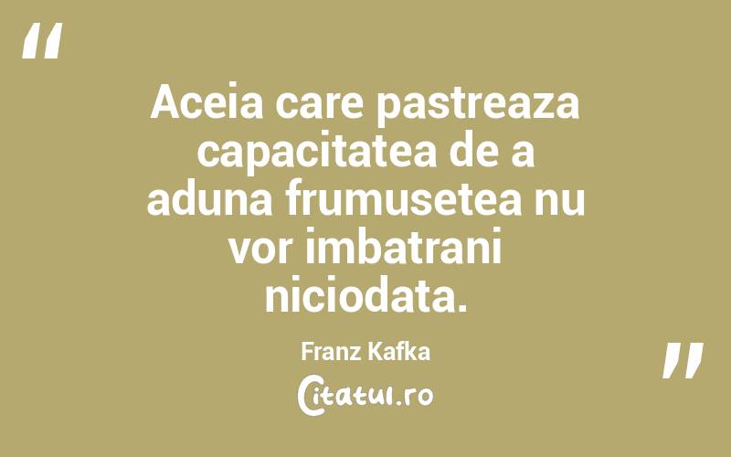 Aceia care pastreaza capacitatea de a aduna frumusetea nu vor imbatrani niciodata. Franz Kafka