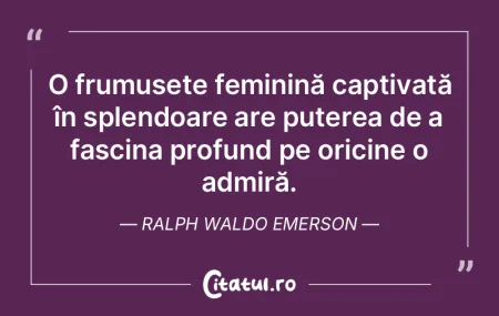 O frumusețe feminină captivată în sp... O frumusețe feminină captivată în sp...