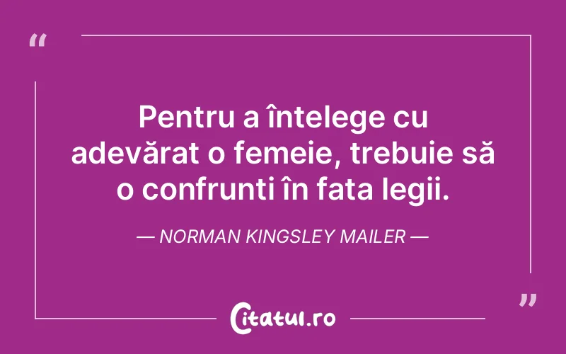 Pentru a înțelege cu adevărat o femeie, trebuie să o confrunți în fața legii. Norman Kingsley Mailer