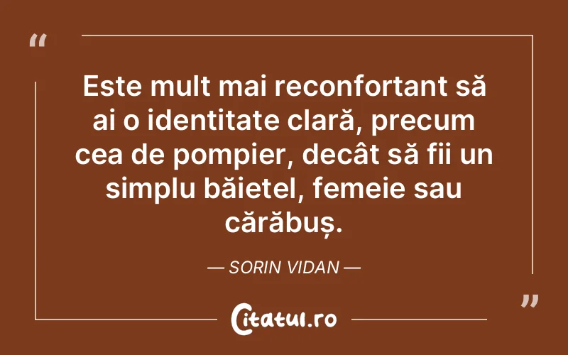 Citat Sorin Vidan - citate femei