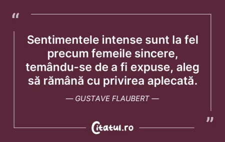 Sentimentele intense sunt la fel precum ... Sentimentele intense sunt la fel precum ...