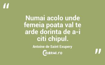 Numai acolo unde femeia poata val te arde dorinta de a-i citi chipul. Antoine de Saint Exupery...