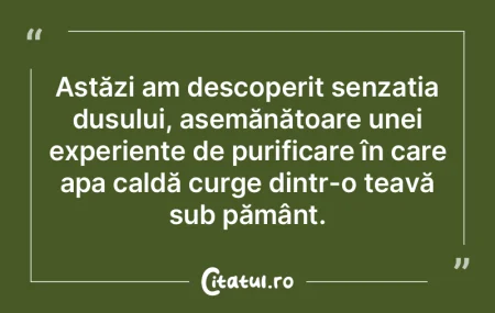 Astăzi am descoperit senzația dușului...
