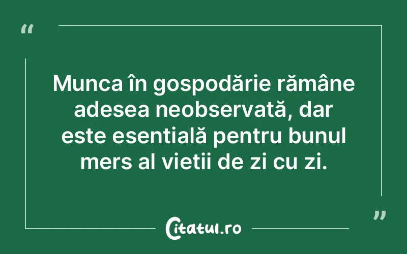 Munca în gospodărie rămâne adesea neobservată, dar este esențială pentru bunul mers al vieții de zi cu zi.