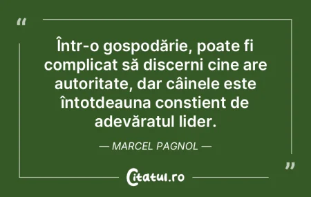 Într-o gospodărie, poate fi complicat ... Într-o gospodărie, poate fi complicat ...