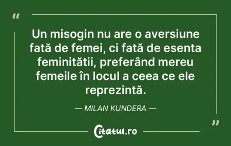 Un misogin nu are o aversiune față de ... Un misogin nu are o aversiune față de ...