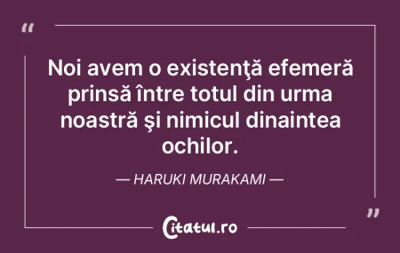 Noi avem o existenţă efemeră prinsă ...