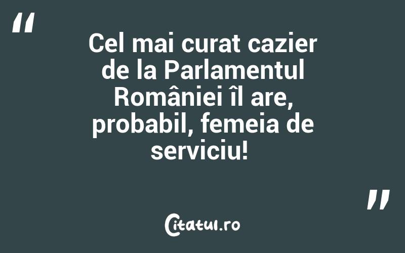 Cel mai curat cazier de la Parlamentul României îl are, probabil, femeia de serviciu! 