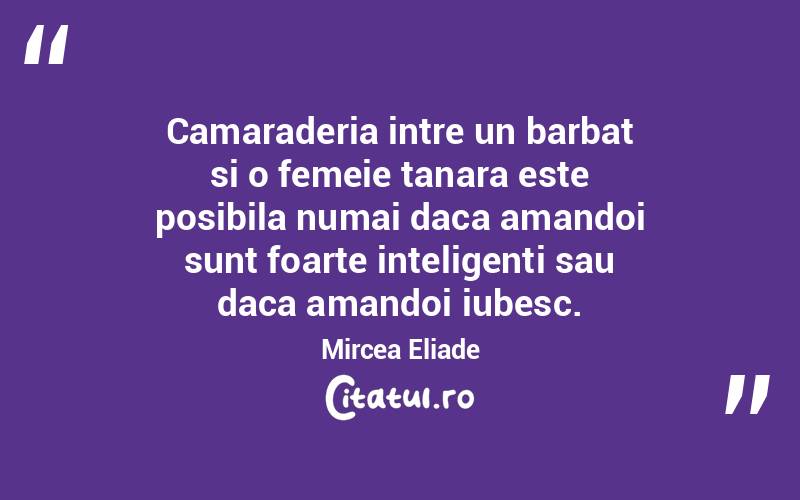 Camaraderia intre un barbat si o femeie tanara este posibila numai daca amandoi sunt foarte inteligenti sau daca amandoi iubesc. Mircea Eliade