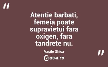Atentie barbati, femeia poate supravietui fara oxigen, fara tandrete nu. Vasile Ghica...
