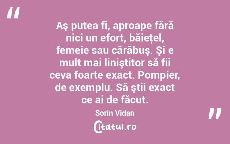   Aş putea fi, aproape fără nici un efort, băieţel, femeie sau cărăbuş. Şi e mult mai liniştitor să fii ceva foarte exact. Pompier, de exemplu. Să ştii exact ce ai de făcut. Sorin Vidan