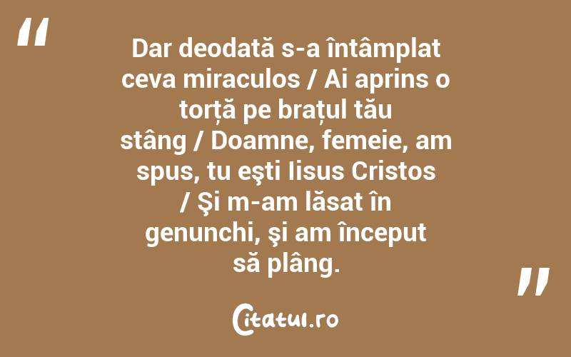 Dar deodată s-a întâmplat ceva miraculos / Ai aprins o torţă pe braţul tău stâng / Doamne, femeie, am spus, tu eşti Iisus Cristos / Şi m-am lăsat în genunchi, şi am început să plâng.  