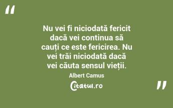 Nu vei fi niciodată fericit dacă vei continua să cauţi ce este fericirea. Nu vei trăi niciodată dacă vei căuta sensul vieţii. Albert Camus...