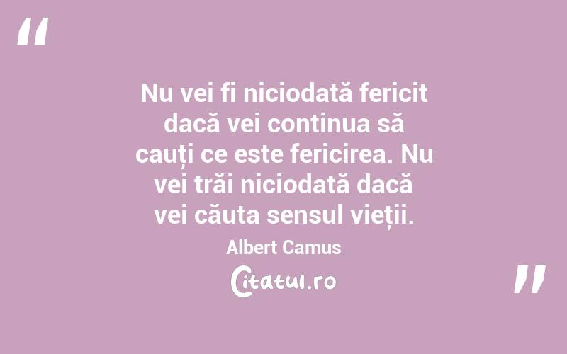 Nu vei fi niciodată fericit dacă vei continua să cauţi ce este fericirea. Nu vei trăi niciodată dacă vei căuta sensul vieţii. Albert Camus
