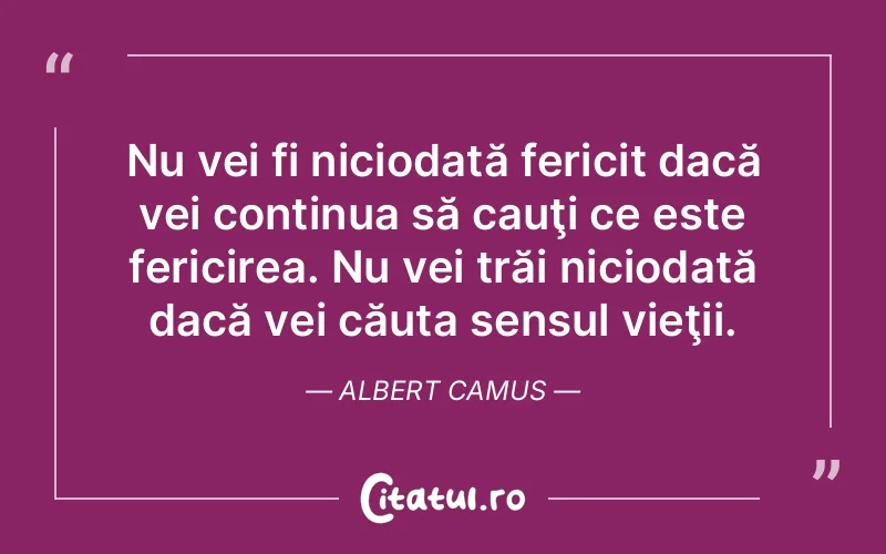 Nu vei fi niciodată fericit dacă vei continua să cauţi ce este fericirea. Nu vei trăi niciodată dacă vei căuta sensul vieţii. Albert Camus