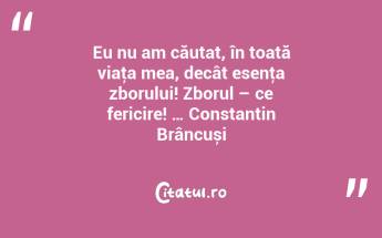 Eu nu am căutat, în toată viaţa mea, decât esenţa zborului! Zborul – ce fericire! … Constantin Brâncuși...