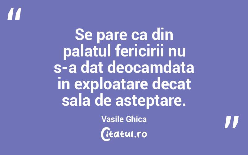 Se pare ca din palatul fericirii nu s-a dat deocamdata in exploatare decat sala de asteptare. Vasile Ghica
