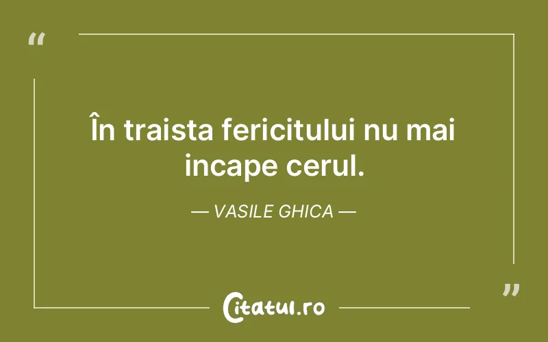 În traista fericitului nu mai incape cerul. Vasile Ghica