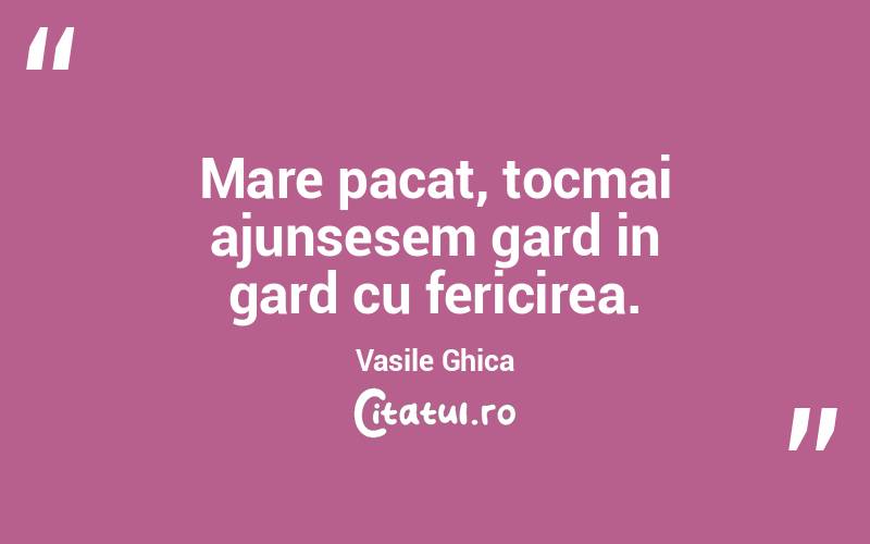 Mare pacat, tocmai ajunsesem gard in gard cu fericirea. Vasile Ghica